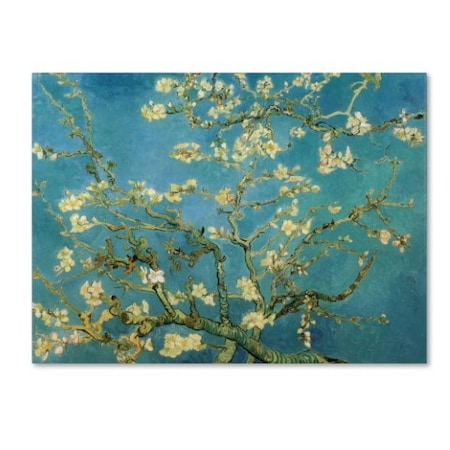 Vincent Van Gogh 'Almond Branches In Bloom 1890' Canvas Art,14x19